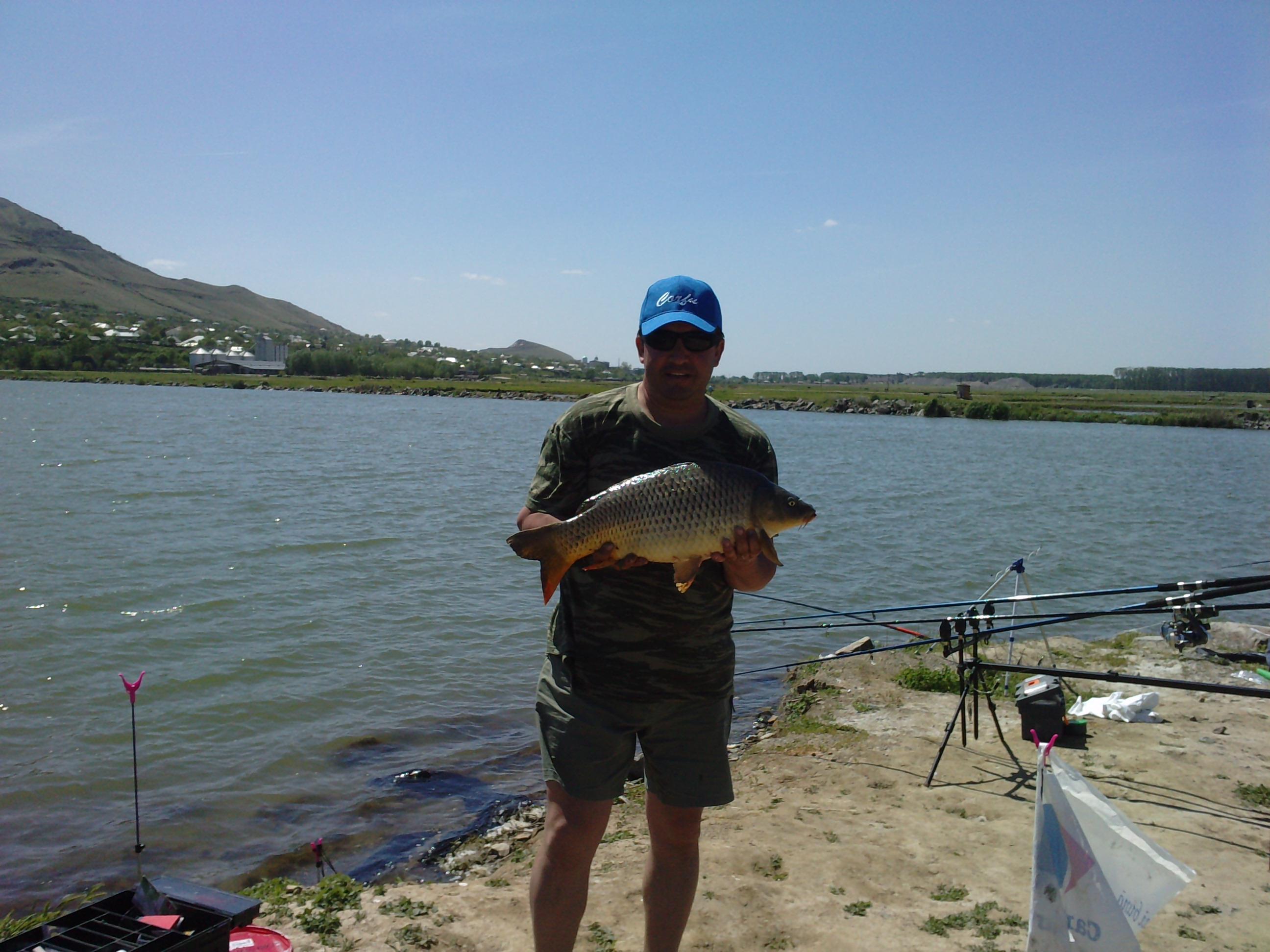 balta turcoaia - P040510_12.060003.JPG